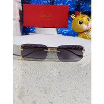 까르띠에 선글라스