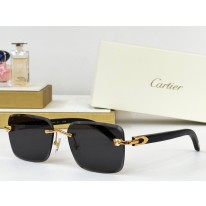 까르띠에 선글라스